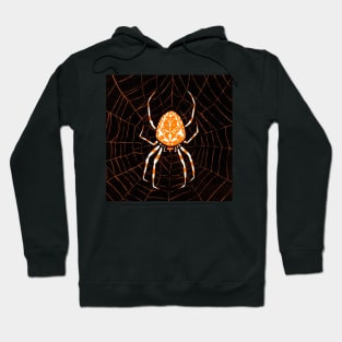 Spider in a web (1918) by Julie de Graag (1877-1924). Hoodie